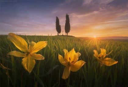 Những việc làm tích đức nhiều nhất, càng làm nhiều phúc báo càng lớn